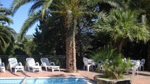 Una piscina con sillas de descanso y palmeras.