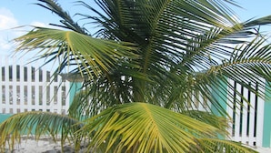 Jardín