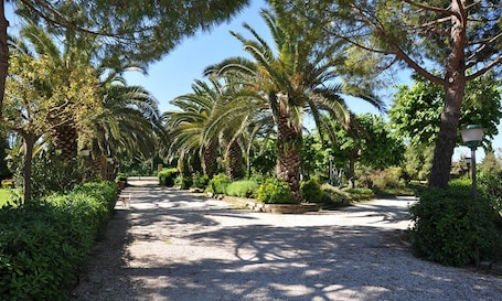 Terrein van de accommodatie