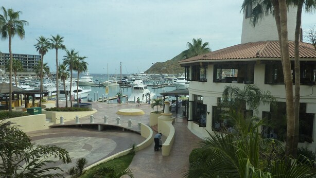 A marina with boats docked, a covered walkway, and palm trees. - Casa Diamond (Cabo San Lucas)