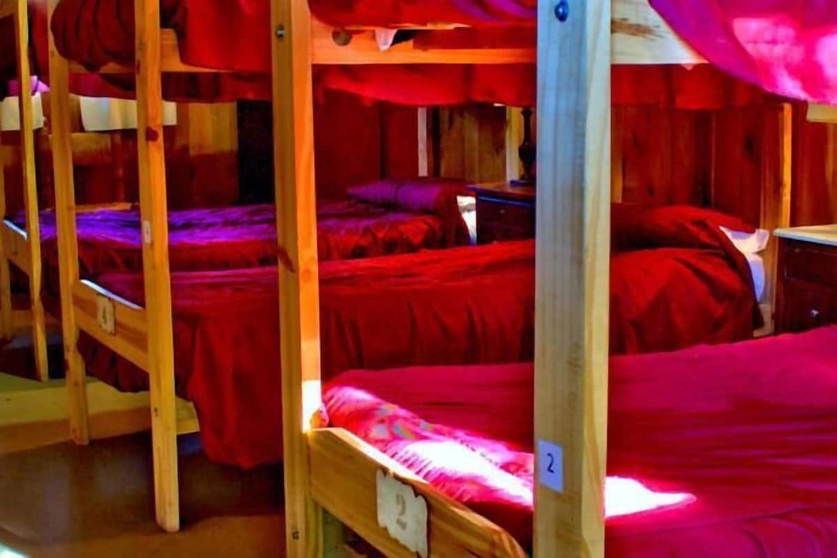 Shared Dormitory, Women only | Cribs (free), WiFi (free)