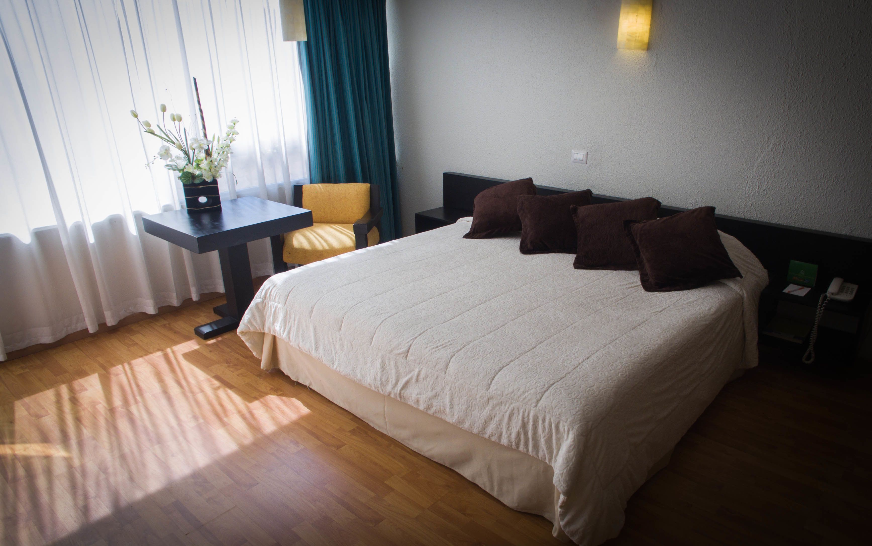 A hotel room with a large bed, a bedside table with a lamp, a chair, and a potted plant.