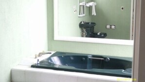 Ein Badezimmer mit einer großen Badewanne, einem Spiegel und einer Toilette.