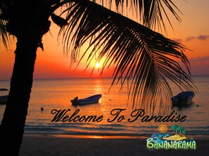 On the beach, white sand, sun loungers, beach umbrellas - Bananarama Dive & Beach Resort (Roatan)