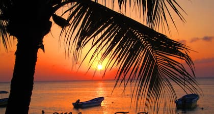 Bananarama Dive & Beach Resort