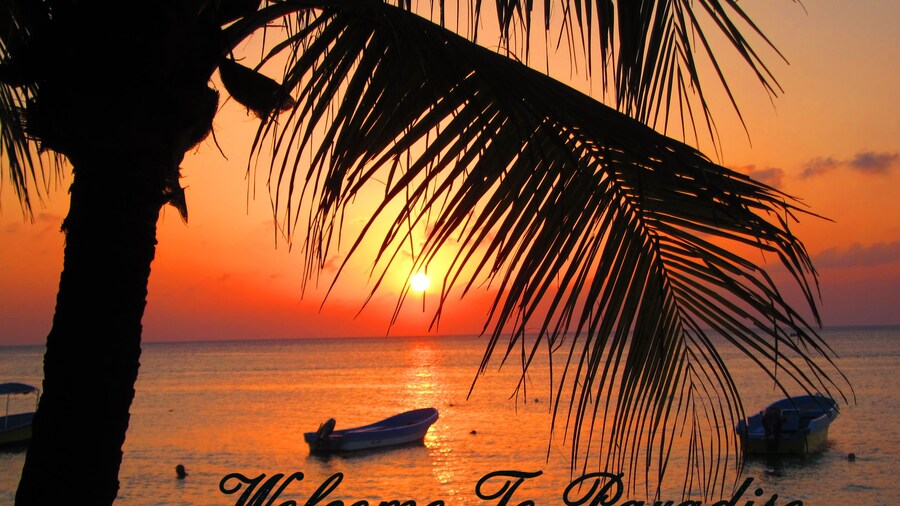 Bananarama Dive & Beach Resort