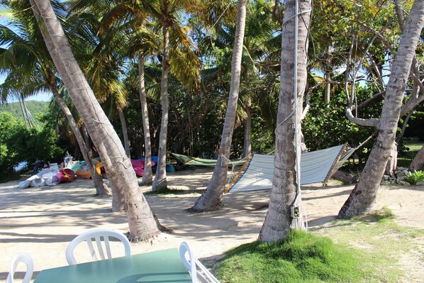 On the beach, snorkeling, kayaking, rowing