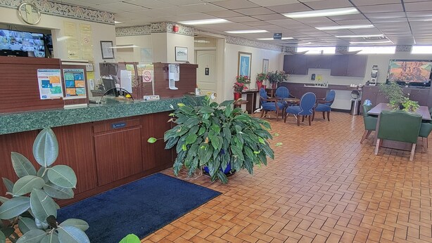 A reception area with a wooden counter, a large potted plant, and a tiled floor.
