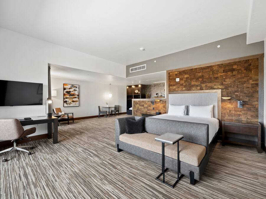 Una habitación de hotel moderna con una cama grande, un sofá, un escritorio y un televisor.