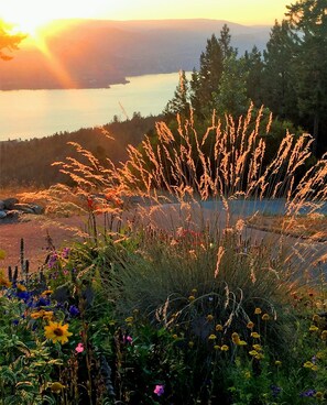 A natural landscape with a variety of wildflowers and grasses, a body of water, and a forested area in the background. - Crooked Tree Guest Suites (Penticton)
