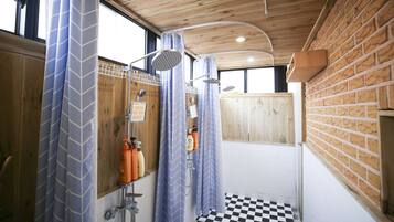 Shower, free toiletries, hair dryer, towels