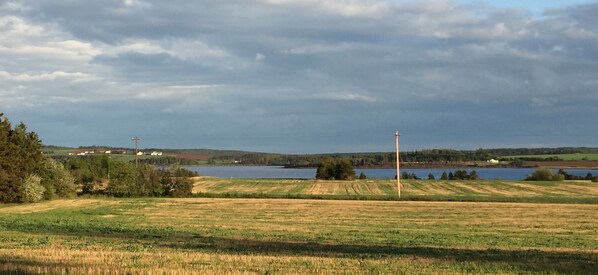 A rural landscape with a field, a body of water, and a distant hill. - Greenwich Moonlight Bay Cottage (Greenwich)