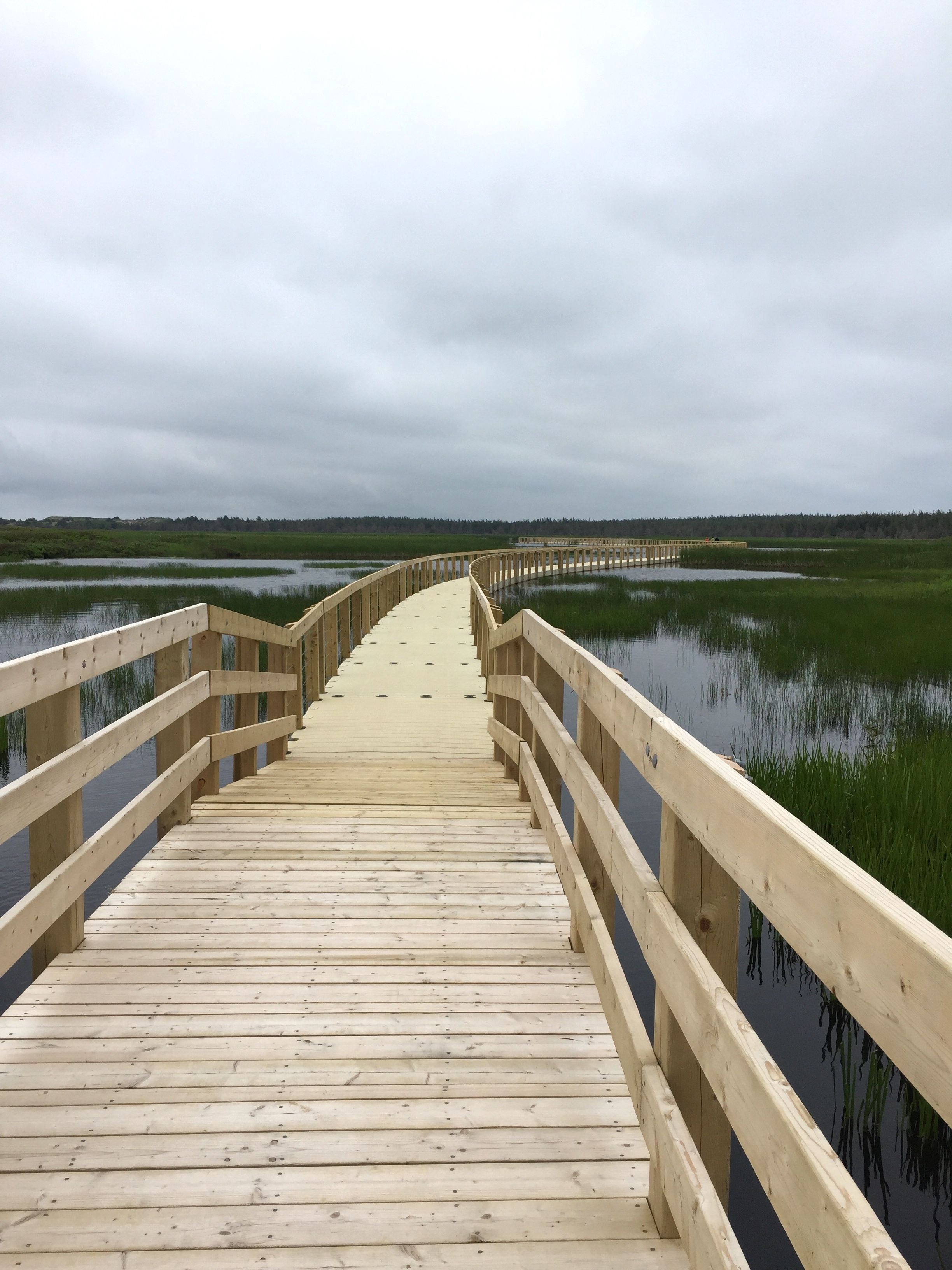 A wooden boardwalk leading into a marshy area with a cloudy sky.