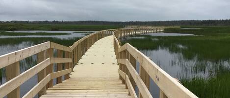 A wooden boardwalk leading into a marshy area with a cloudy sky.