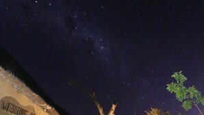 Exclusive Double or Twin Room, 1 King Bed, Garden View | View from room - African Rock Lodge (Hoedspruit)