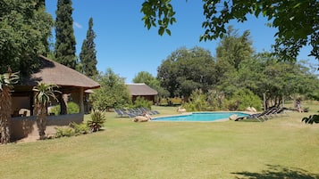 Outdoor pool, pool loungers