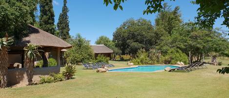 A pool area with lounge chairs, a thatched-roof building, and surrounding greenery.
