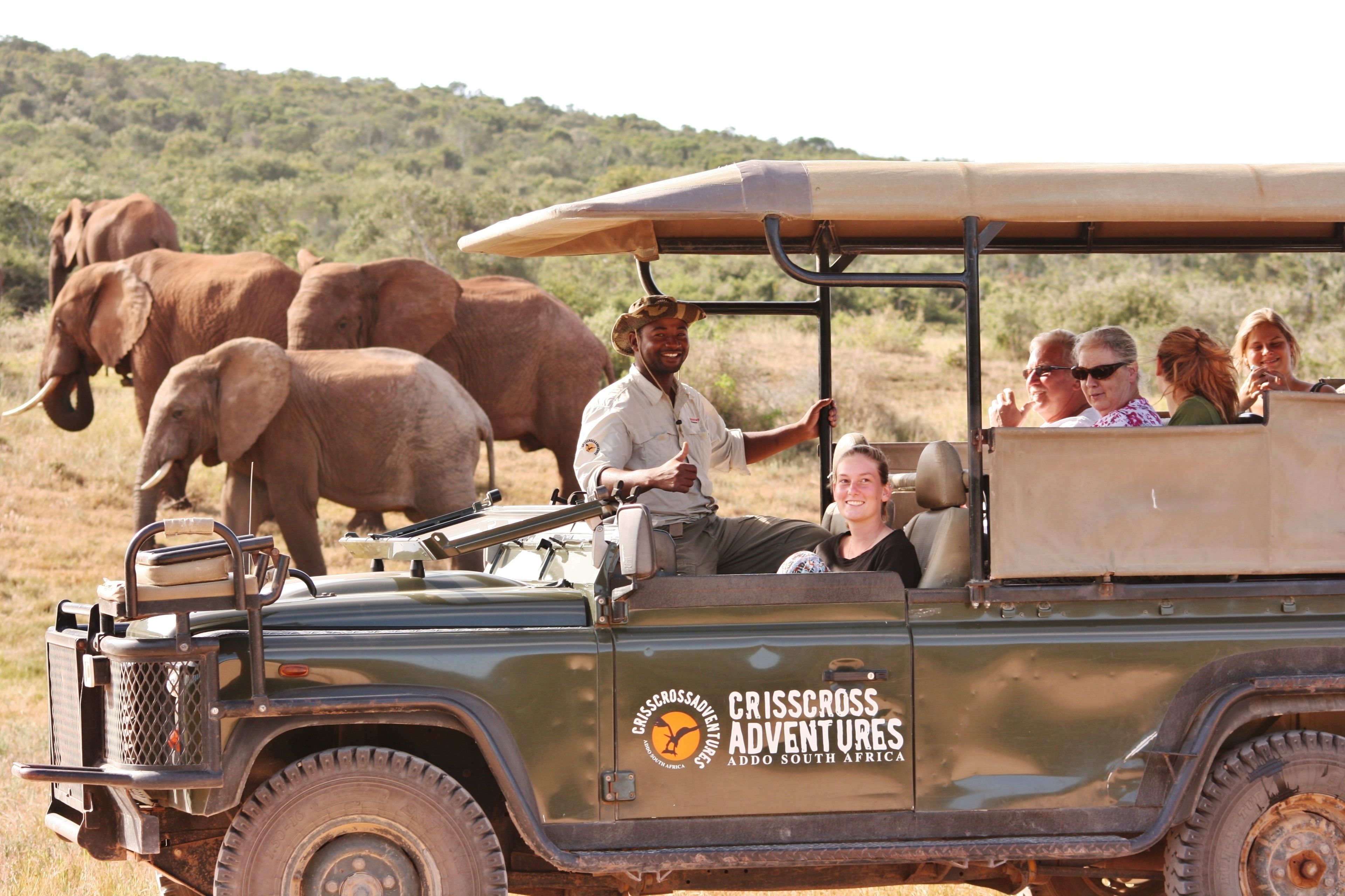 A safari vehicle with passengers and elephants in the background.