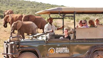 A safari vehicle with passengers and elephants in the background.