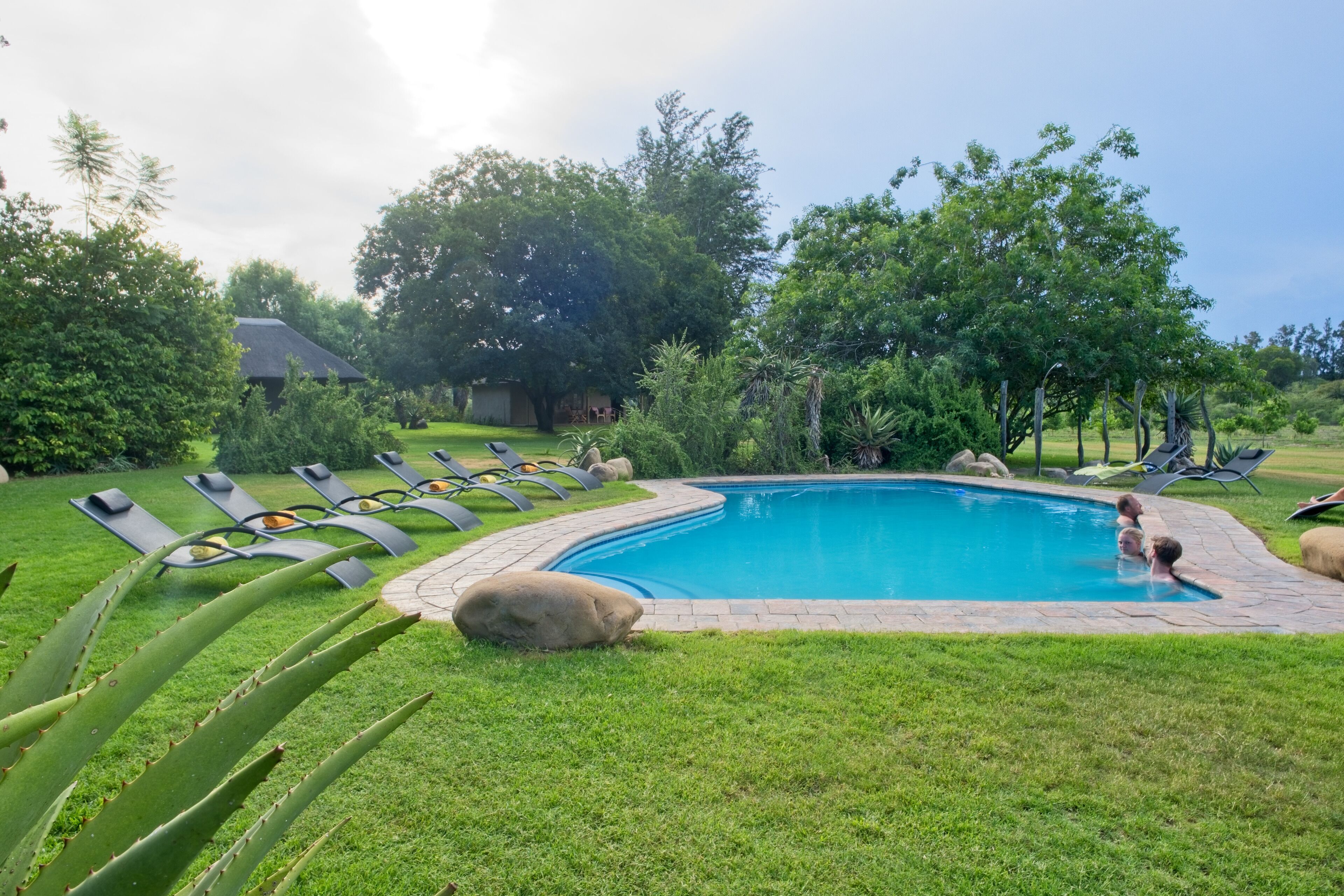 Outdoor pool, sun loungers