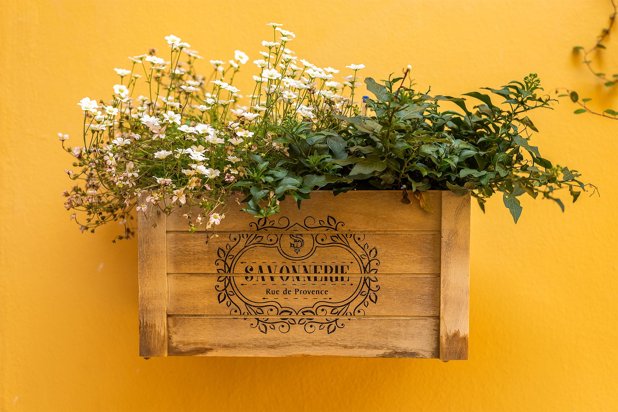 Photo - La Tosca Rooms & studios