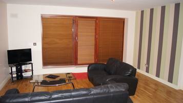 Televisión de pantalla plana