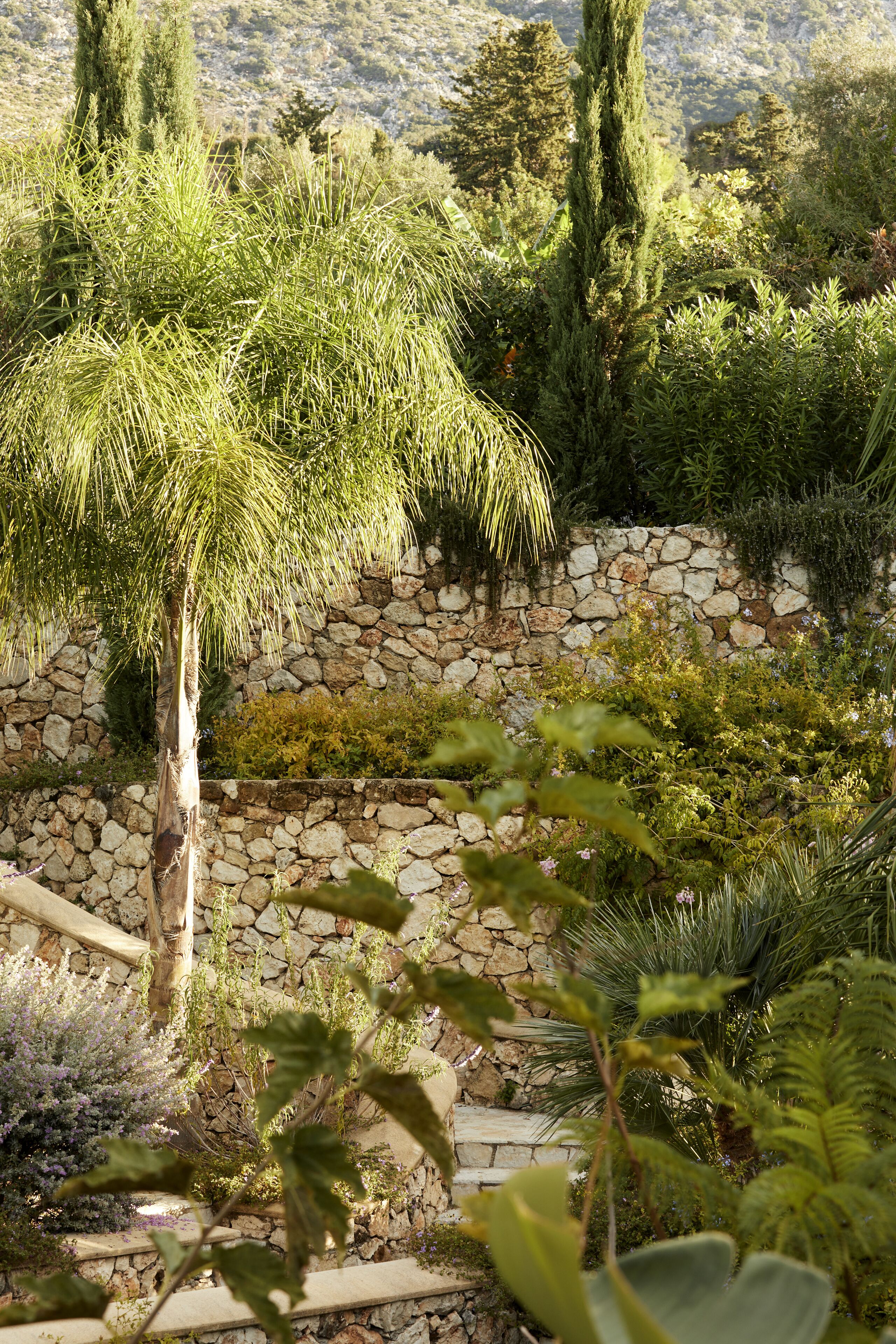 Un jardin où l’on trouve une grande variété de plantes et un mur en pierre.