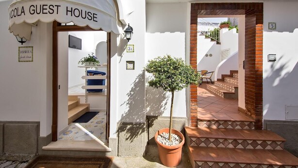 La entrada de una casa de huéspedes con un cartel que dice "NICOLA GUEST HOUSE", un pequeño árbol en maceta y una escalera de baldosas que lleva a un nivel superior.