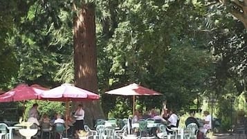 Lunch and dinner served, French cuisine