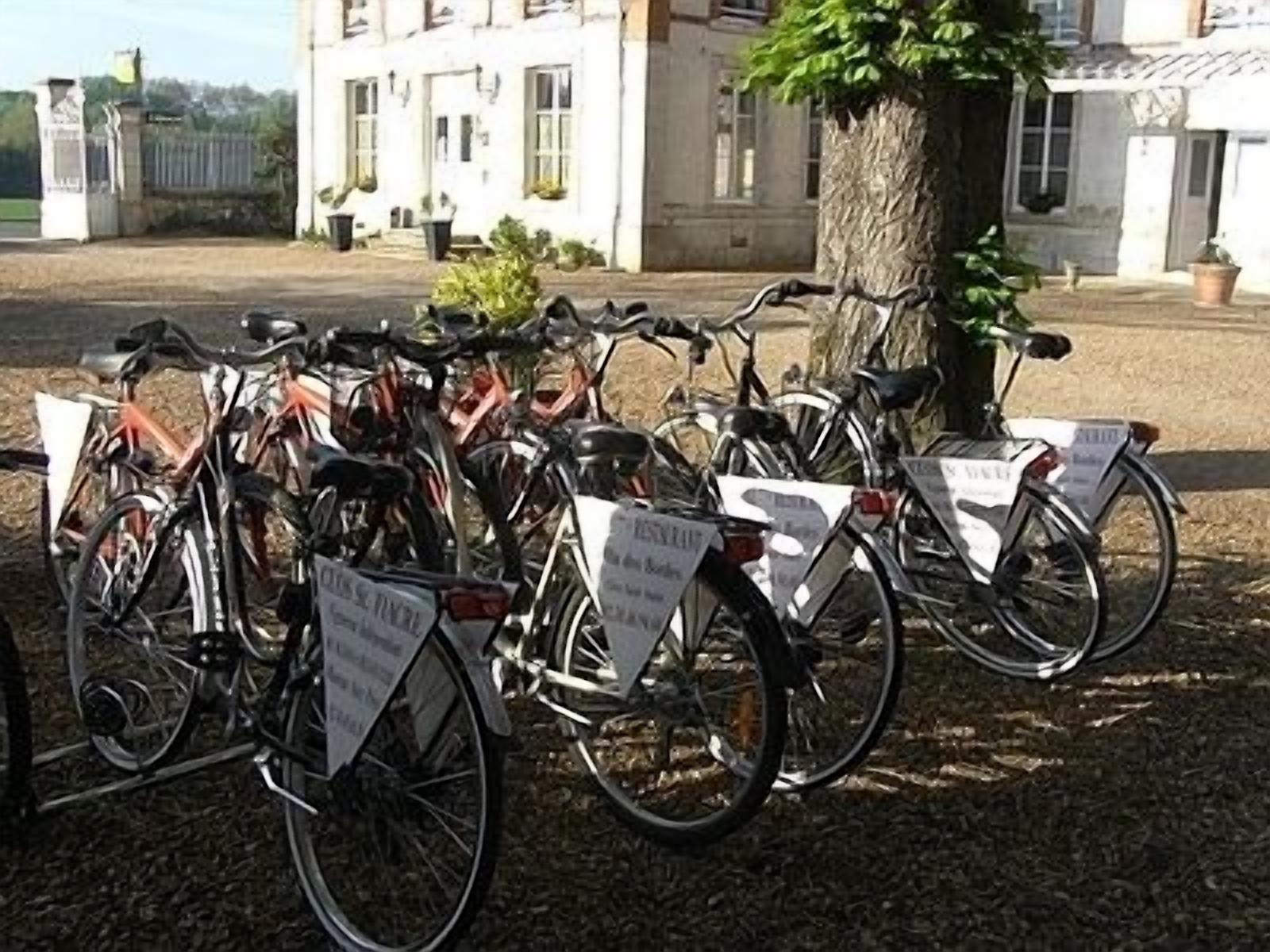 Bicycles parked outside a building with a tree and a gate in the background.