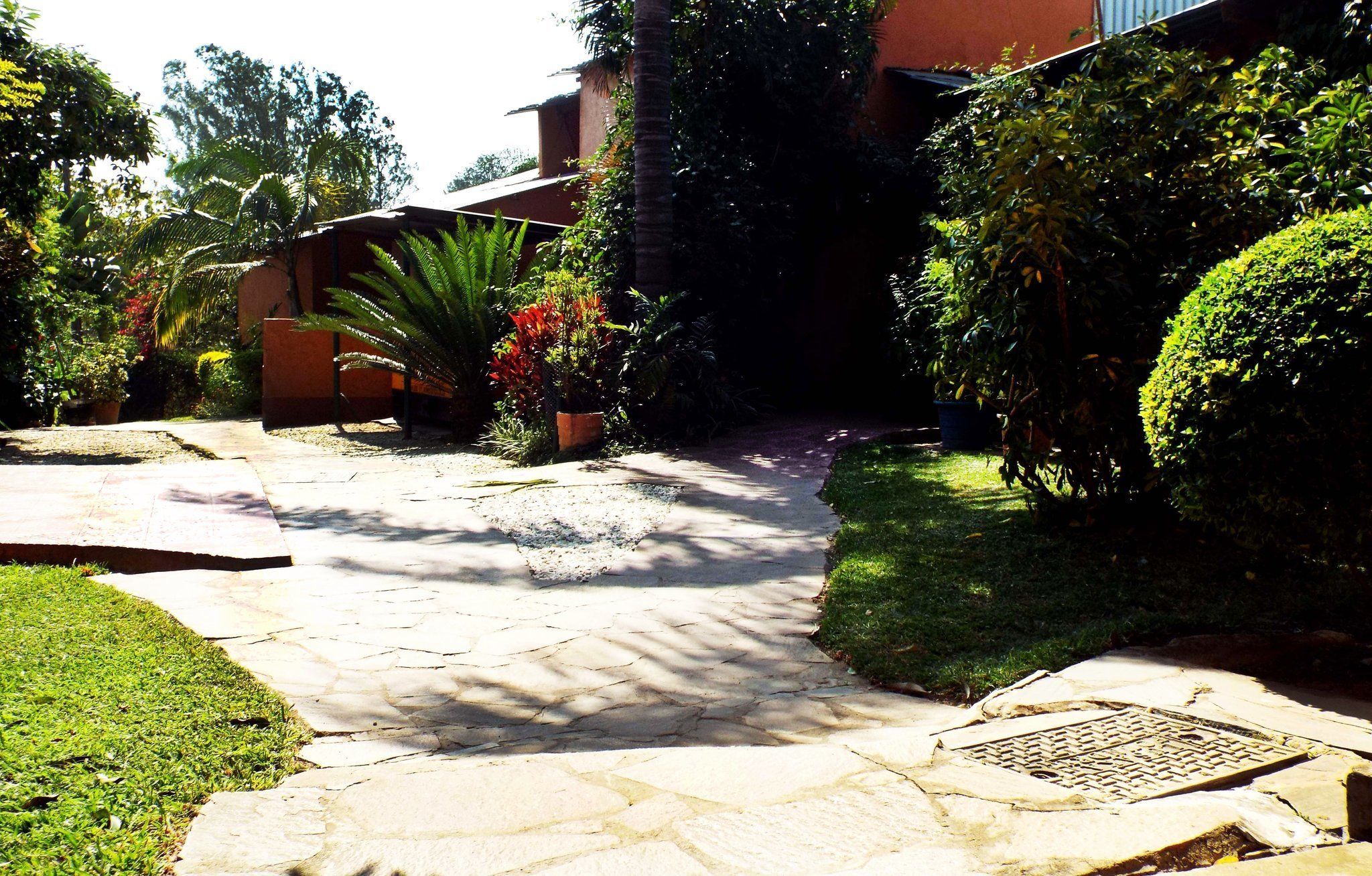 A stone pathway leading to a building with a red facade, surrounded by lush greenery and palm trees.