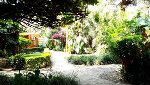 A stone pathway leading through a lush garden with various plants and a building in the background. - Palmwood Lodge (Lusaka)