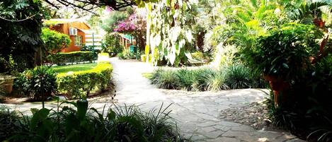 A stone pathway leading through a lush garden with various plants and a building in the background.