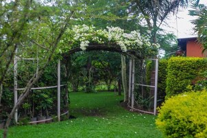 A garden with a white flower archway, surrounded by greenery and a well-maintained lawn.
