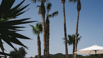 Outdoor pool, pool umbrellas, pool loungers