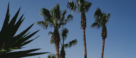 Piscina a l'aire lliure, para-sols i gandules