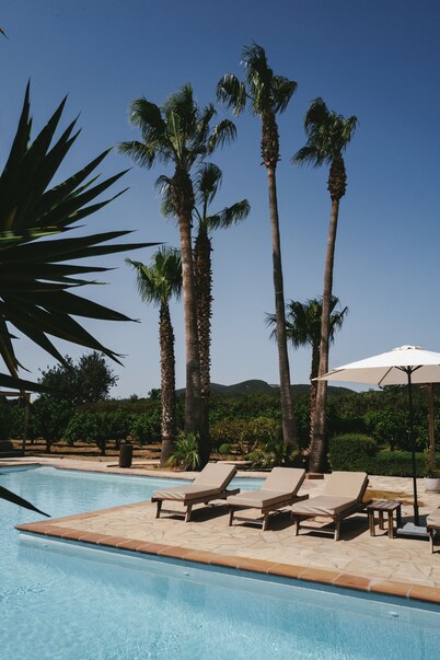 Can Arabi Adults Only