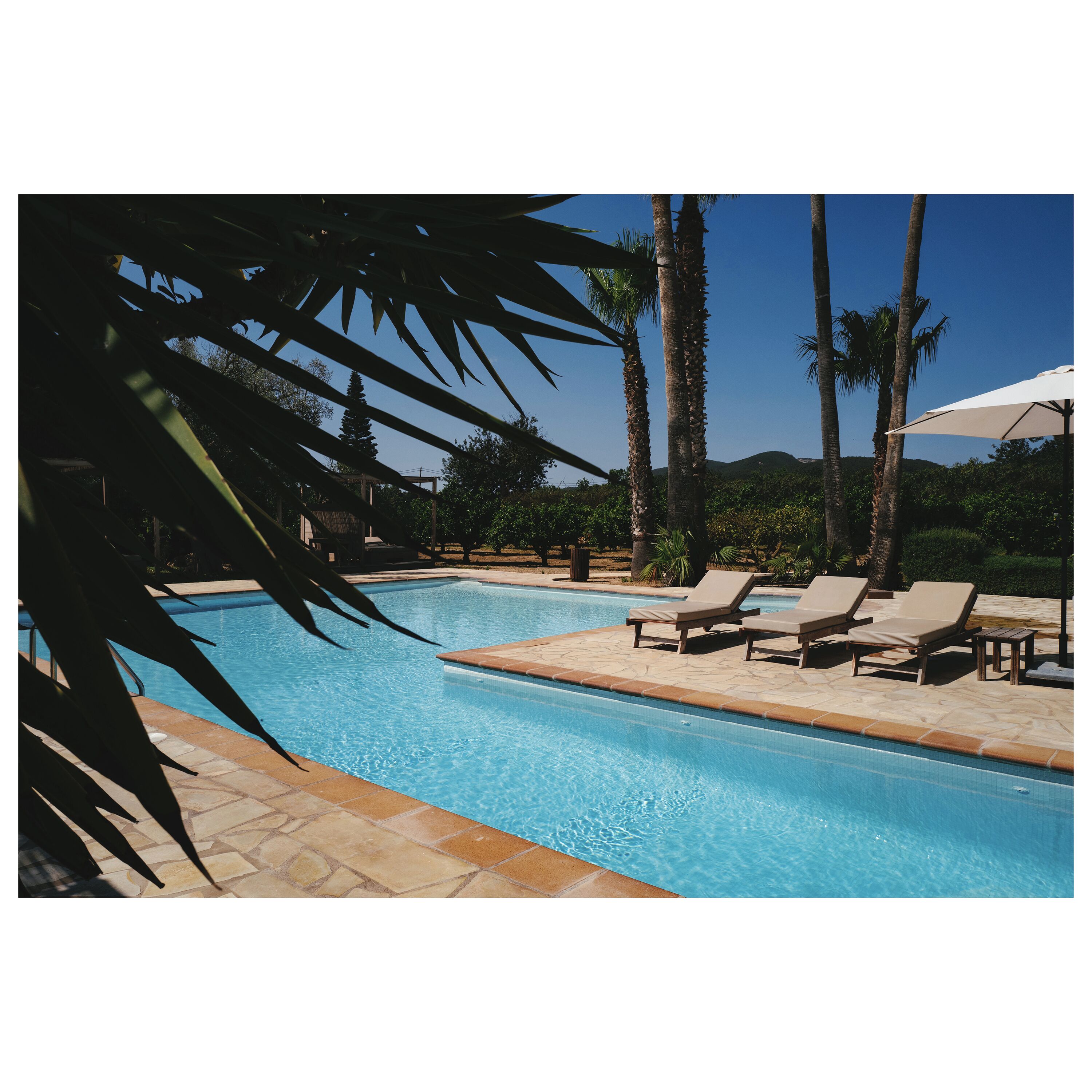 outdoor pool, pool umbrellas, pool loungers