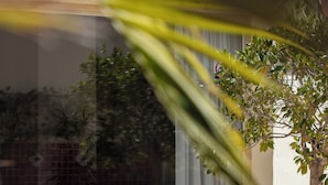 A patio area with wicker furniture, a round table, and a potted plant. - Can Arabi Adults Only (Santa Eulalia del Rio)