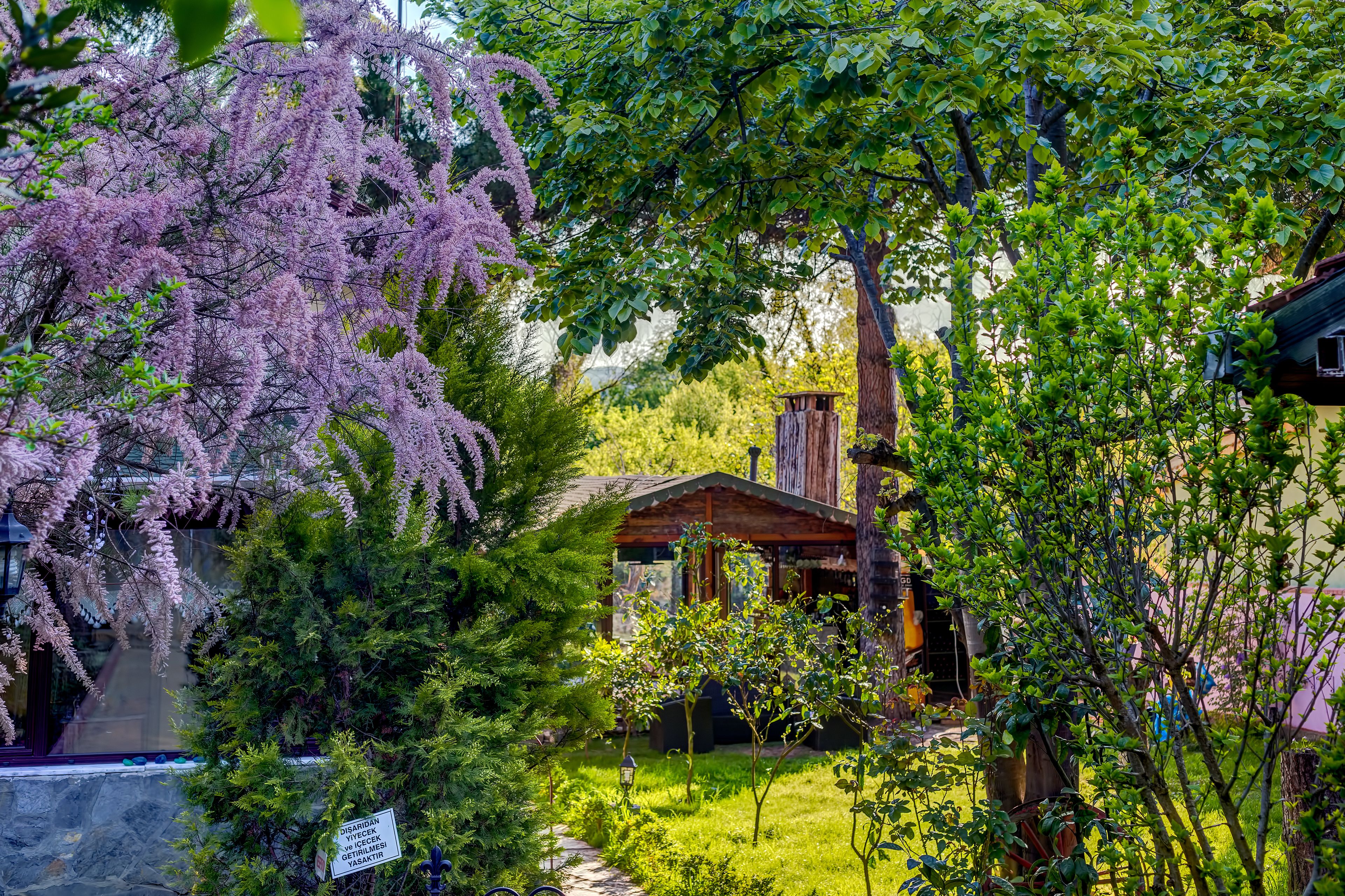 A rustic cabin surrounded by lush greenery and flowering trees.