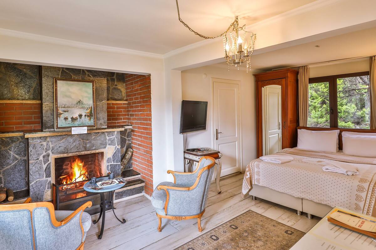Une pièce confortable avec une cheminée, un lit, une télévision et une fenêtre donnant sur les arbres.