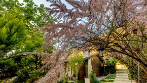 Ein Garten mit einem Kiesweg, der zu einem Holzgebäude führt, umgeben von üppigem Grün und blühenden Bäumen.