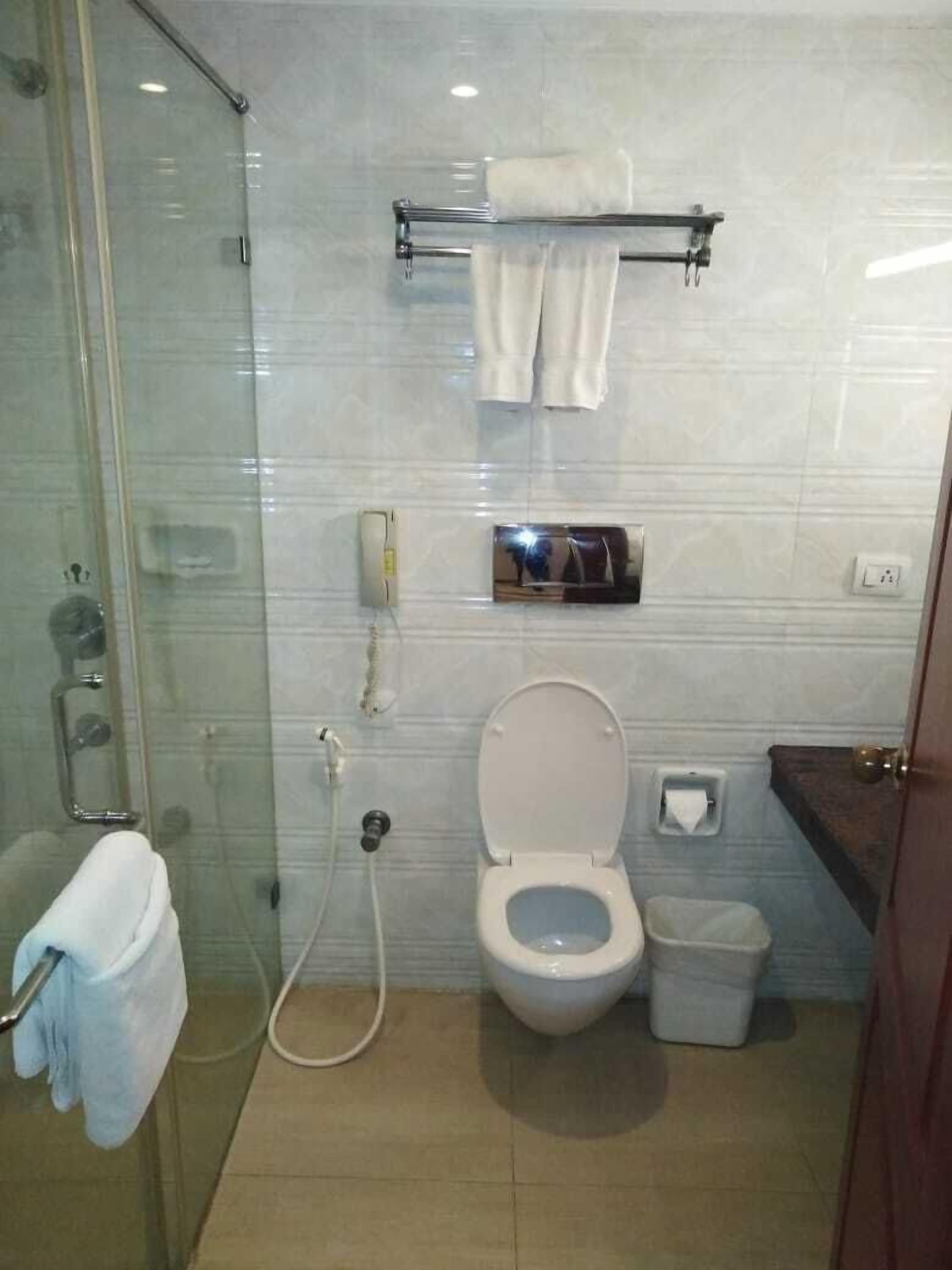 A bathroom with a glass shower enclosure, a toilet, a sink, and a towel rack.