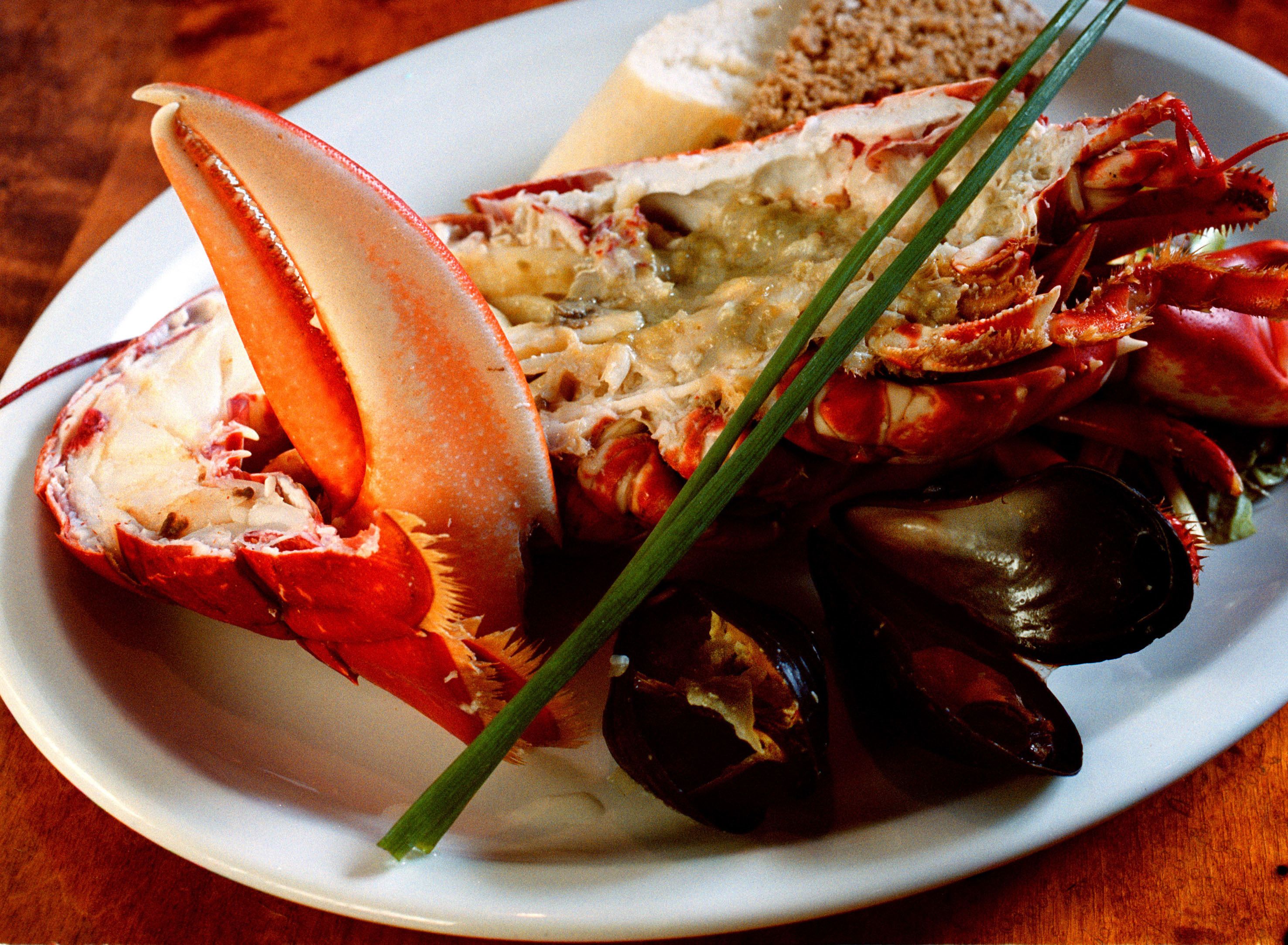 A plate with a lobster, mussels, and a piece of bread.