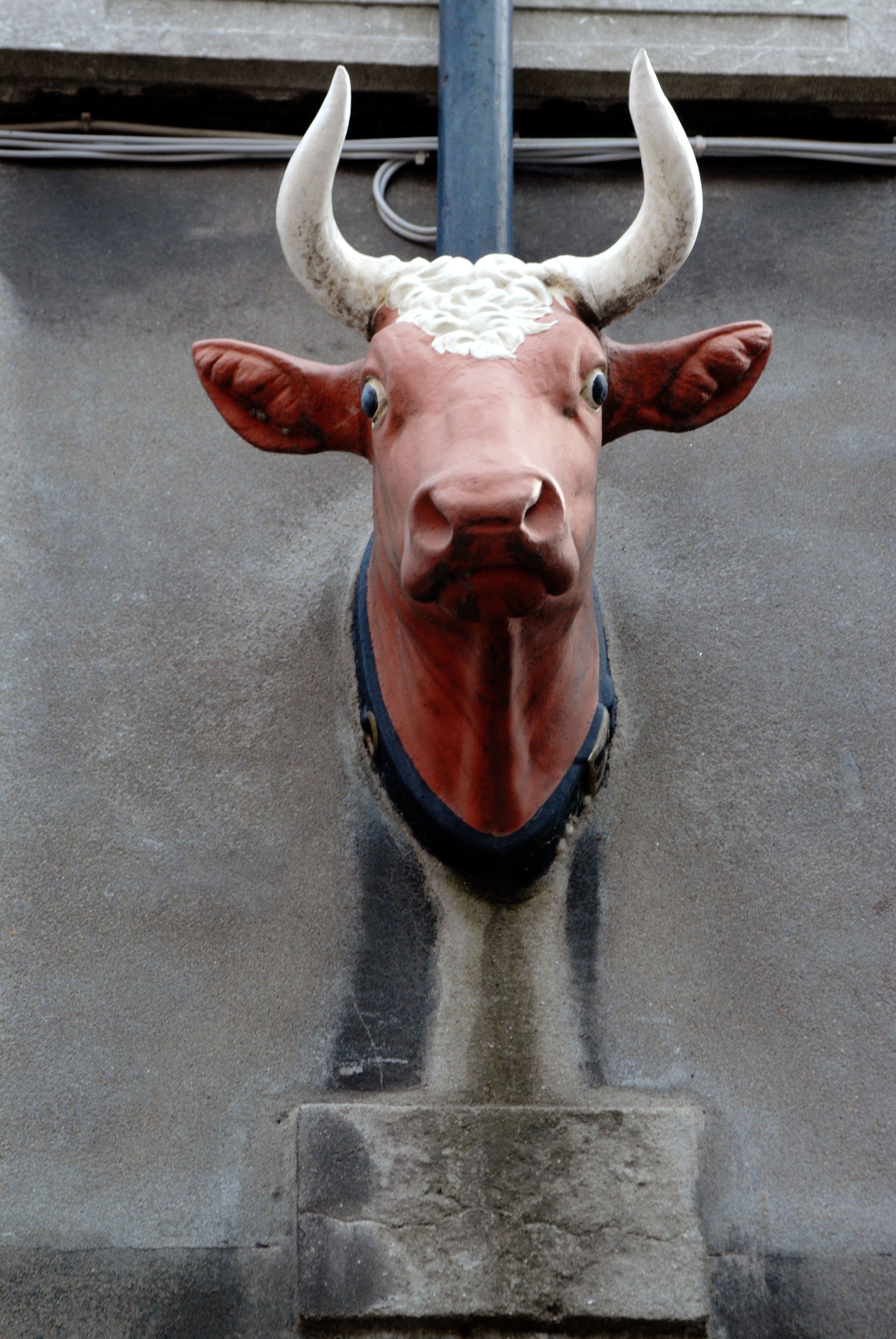 Una estatua de toro montada en la fachada de un edificio.