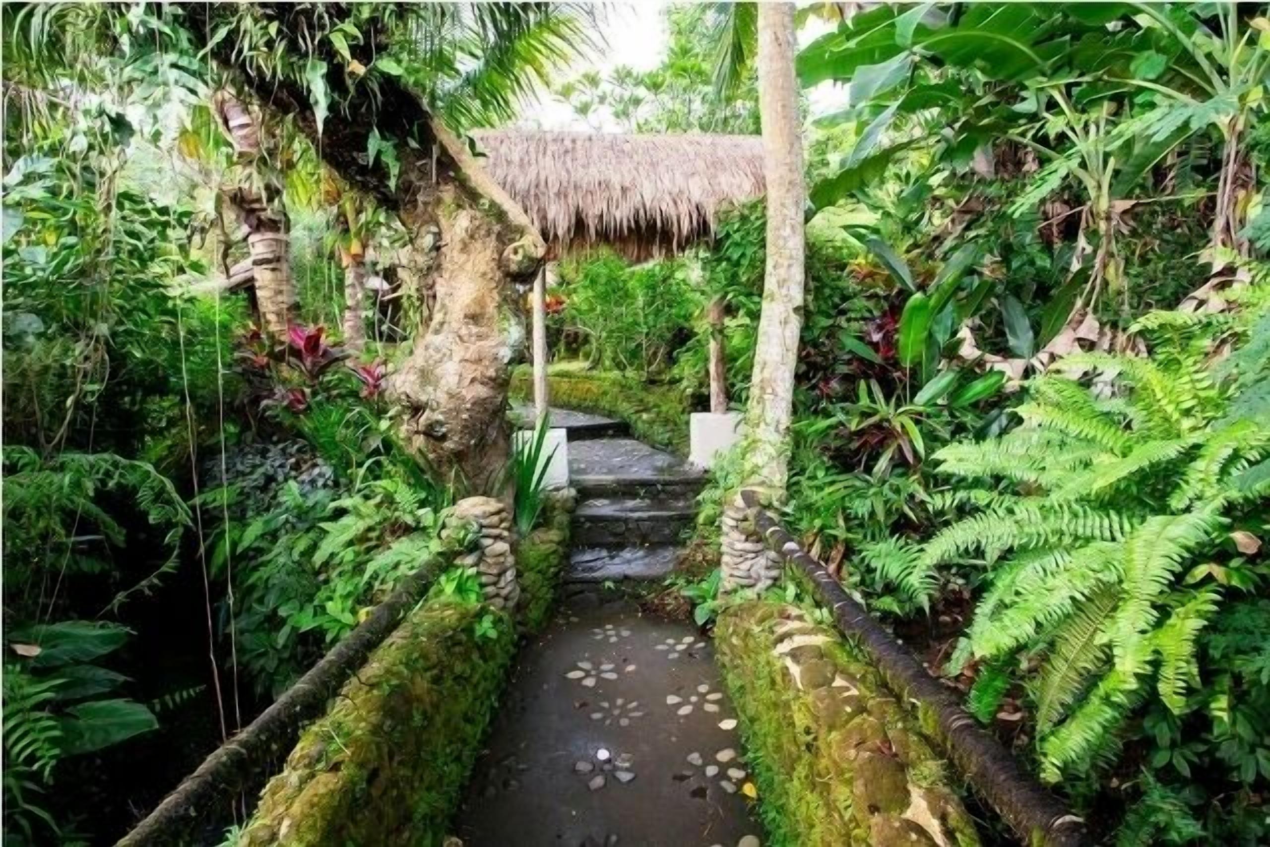 Jardín