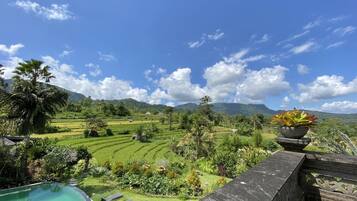A view of terraced rice fields, a pool, and a wooden railing.