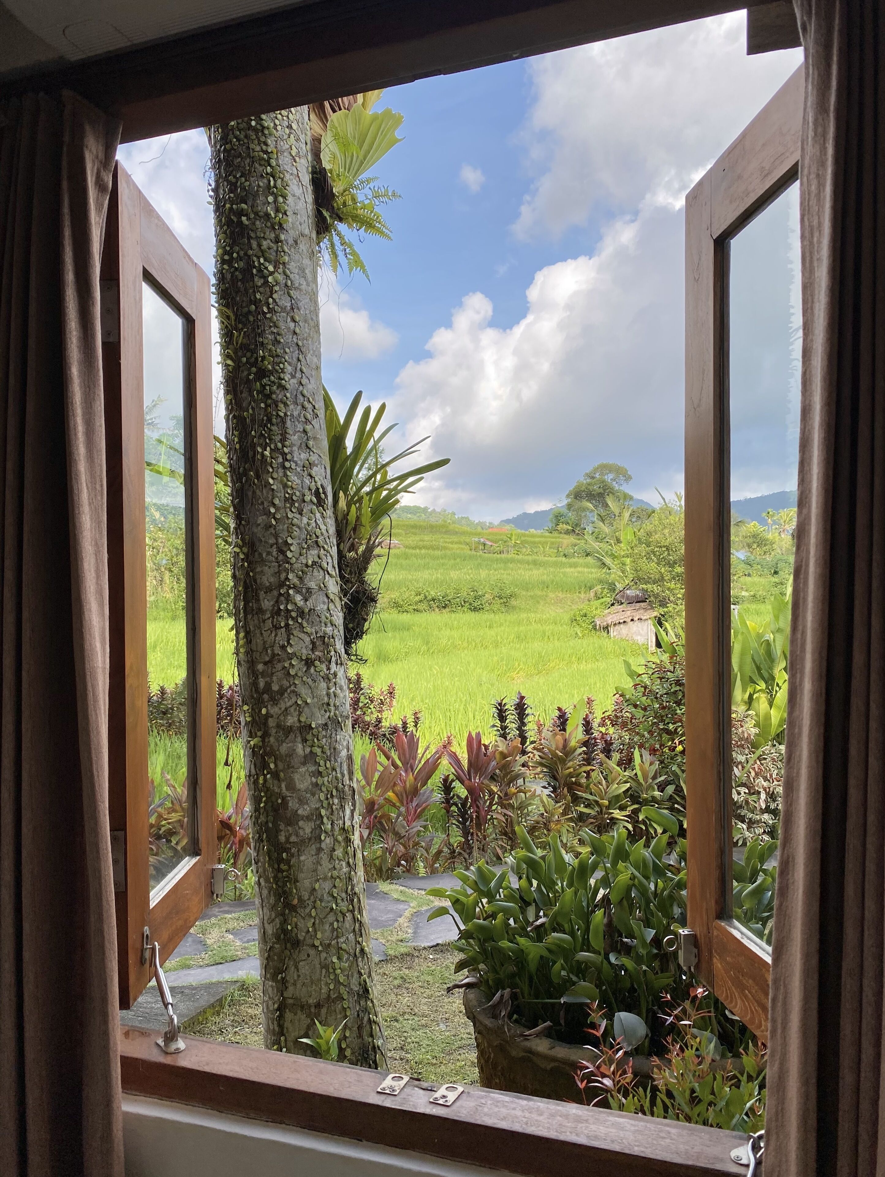 View from room