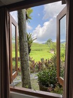 Budget Room 2 | View from room