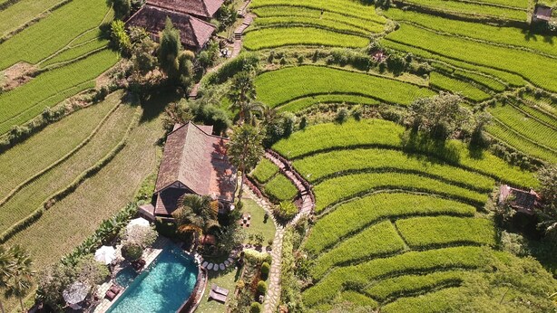 Vue aérienne de rizières en terrasses, avec une piscine et un bungalow.